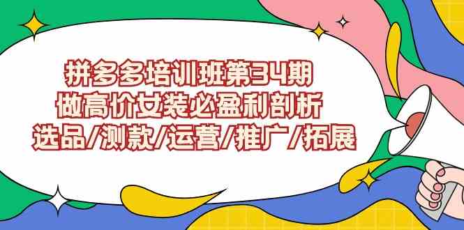 （9333期）拼多多培训班第34期：做高价女装必盈利剖析  选品/测款/运营/推广/拓展-玖卿社区