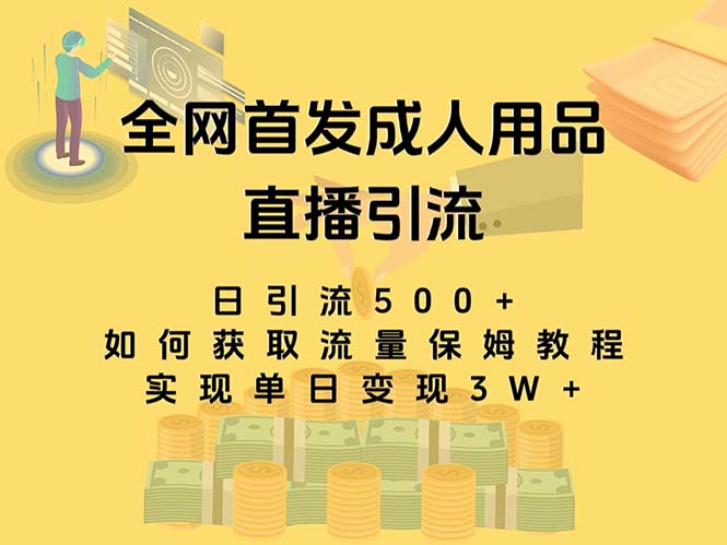最新全网独创首发，成人用品直播引流获客暴力玩法，单日变现3w保姆级教程-玖卿社区