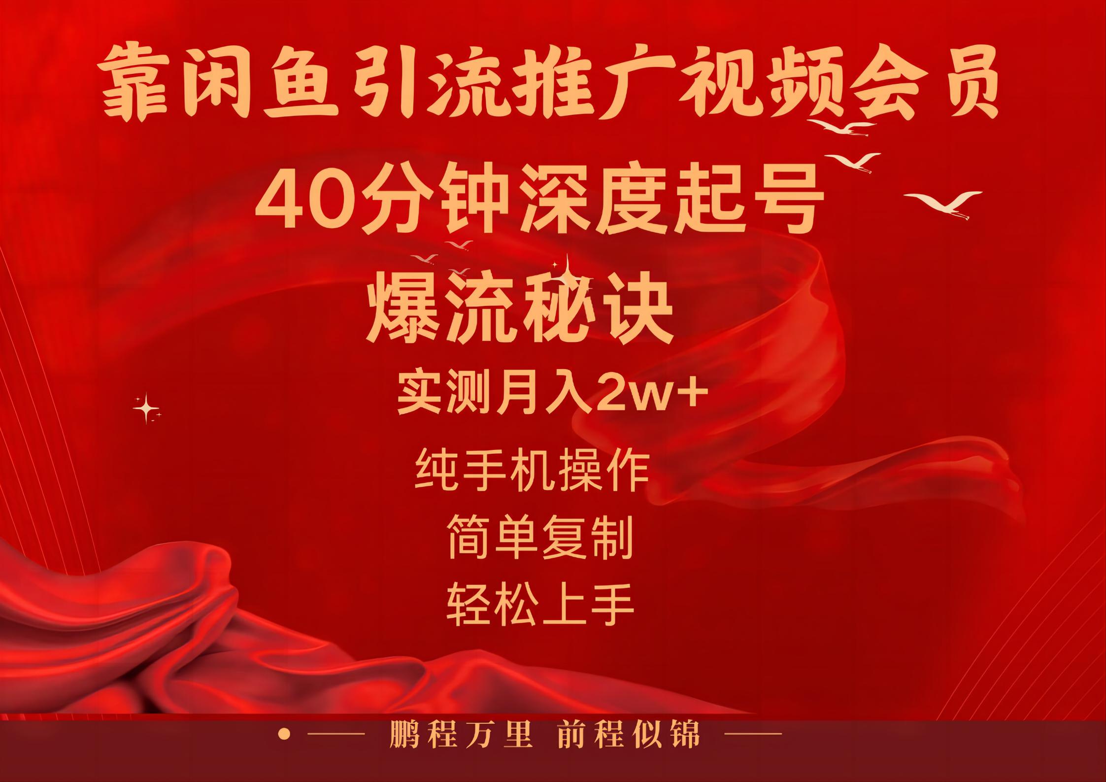 闲鱼暴力引流推广视频会员，能做到日入2W+，操作简单-玖卿社区