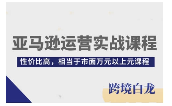 亚马逊运营实战课程，亚马逊从入门到精通，性价比高，相当于市面万元以上元课程-玖卿社区