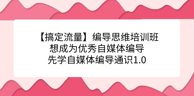 【搞定流量】编导思维培训班，想成为优秀自媒体编导先学自媒体编导通识1.0-玖卿社区