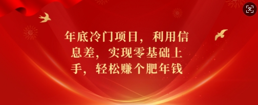 年底冷门项目，利用信息差，实现零基础上手，轻松赚个肥年钱【揭秘】-玖卿社区