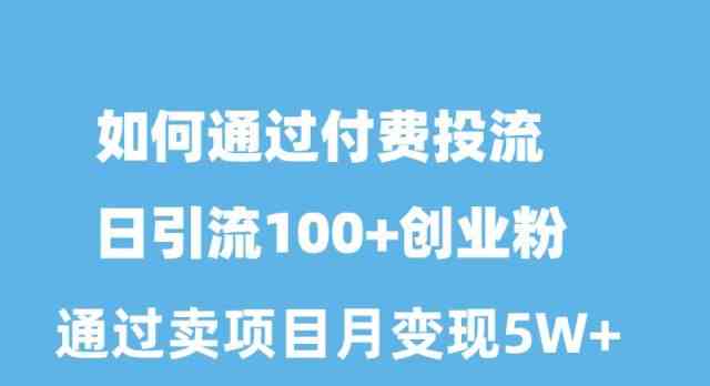 （10189期）如何通过付费投流日引流100+创业粉月变现5W+-玖卿社区