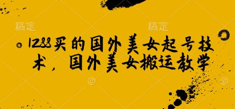 1288买的国外美女起号技术，国外美女搬运教学-玖卿社区