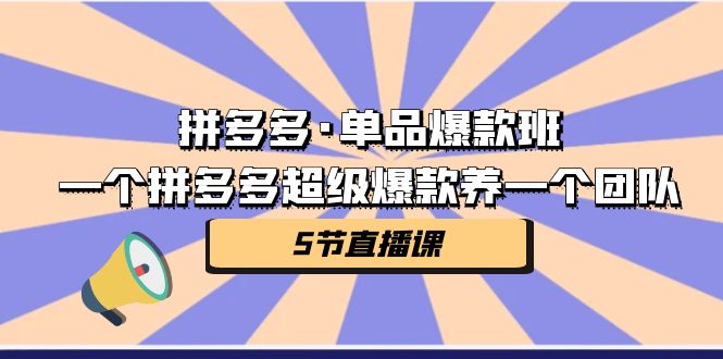 拼多多·单品爆款班，一个拼多多超级爆款养一个团队（5节直播课）-玖卿社区