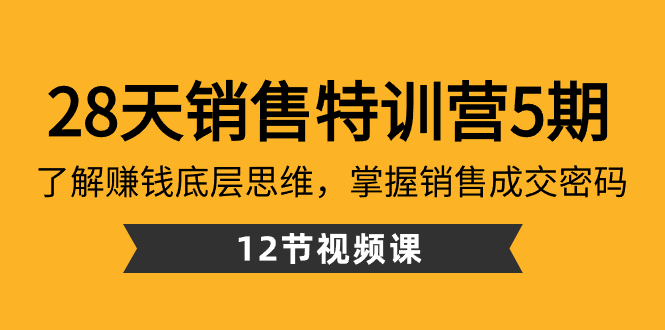 28天·销售特训营5期：了解赚钱底层思维，掌握销售成交密码（12节课）-玖卿社区