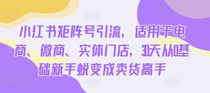 小红书矩阵号引流，适用于电商、微商、实体门店，30天从0基础新手蜕变成卖货高手-玖卿社区