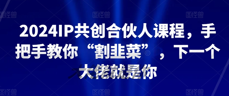 2024IP共创合伙人课程，手把手教你“割韭菜”，下一个大佬就是你-玖卿社区