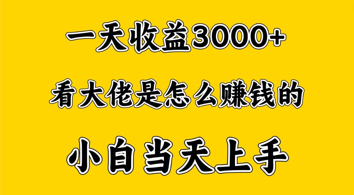 一天赚3000多，大佬是这样赚到钱的，小白当天上手，穷人翻身项目-玖卿社区