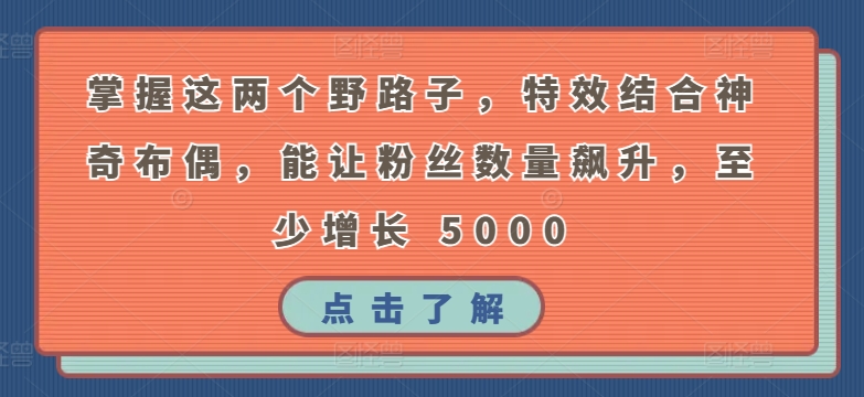 掌握这两个野路子，特效结合神奇布偶，能让粉丝数量飙升，至少增长 5000-玖卿社区