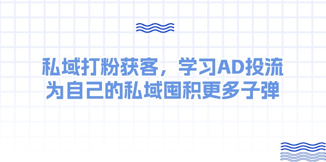 （10728期）某收费课：私域打粉获客，学习AD投流，为自己的私域囤积更多子弹-玖卿社区