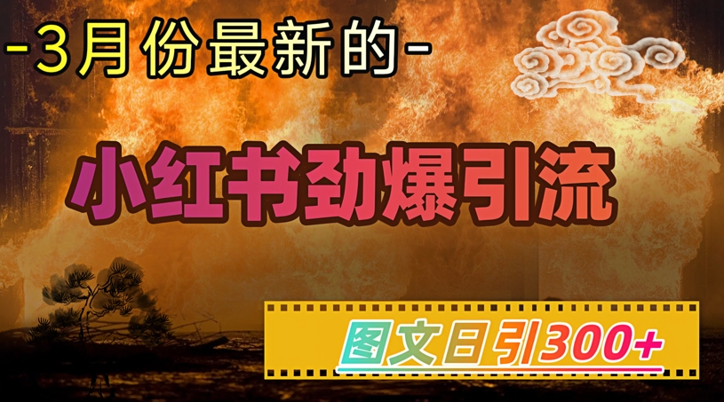 小红书超劲爆引流手段，图文日引300+轻松变现1W-玖卿社区