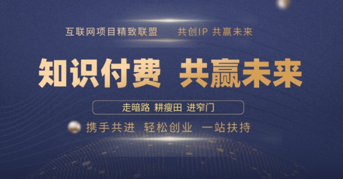 别人苦寻无果，为何他们靠知识付费卖项目 2025 年轻松年入100个?【揭秘】-玖卿社区