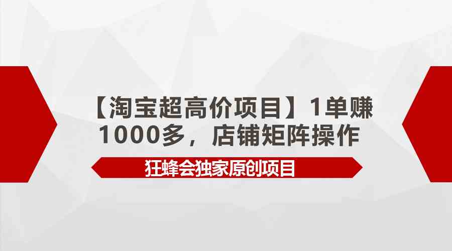 （9849期）【淘宝超高价项目】1单赚1000多，店铺矩阵操作-玖卿社区