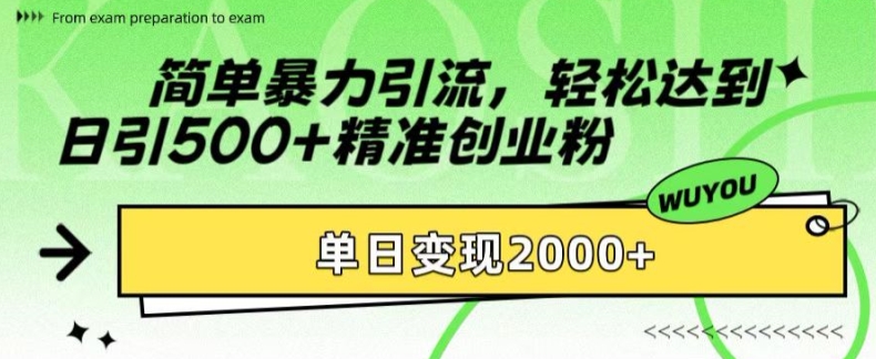 简单暴力引流，轻松达到日引500+精准创业粉，单日变现2k【揭秘】-玖卿社区