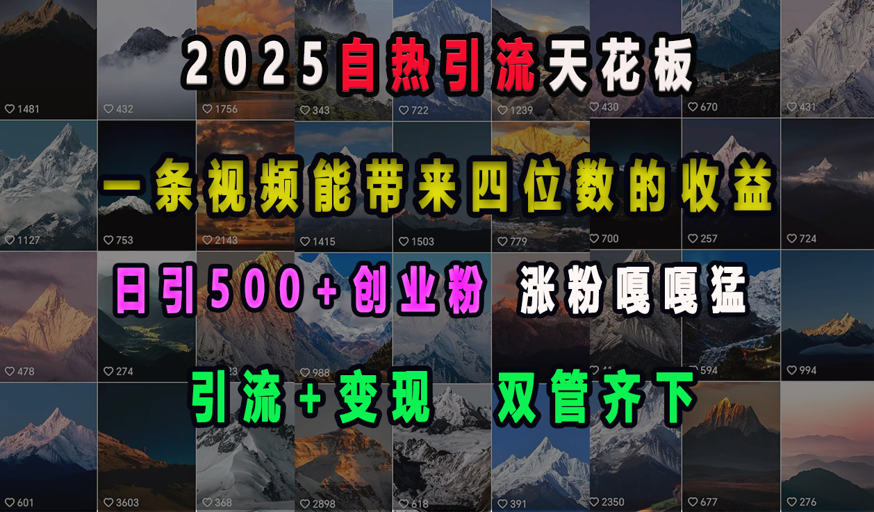 2025自热引流天花板，一条视频能带来四位数的收益，引流+变现双管齐下，日引500+创业粉，涨粉嘎嘎猛-玖卿社区