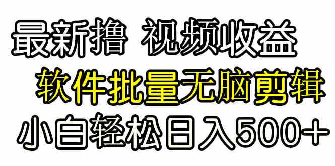 （9569期）发视频撸收益，软件无脑批量剪辑，第一天发第二天就有钱-玖卿社区
