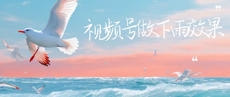 视频号做下雨视频一个账号一周涨粉10W+年入100w-玖卿社区
