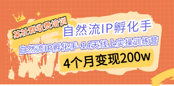 某社群收费培训：自然流IP 孵化手-14天线上实操训练营 4个月变现200w-玖卿社区
