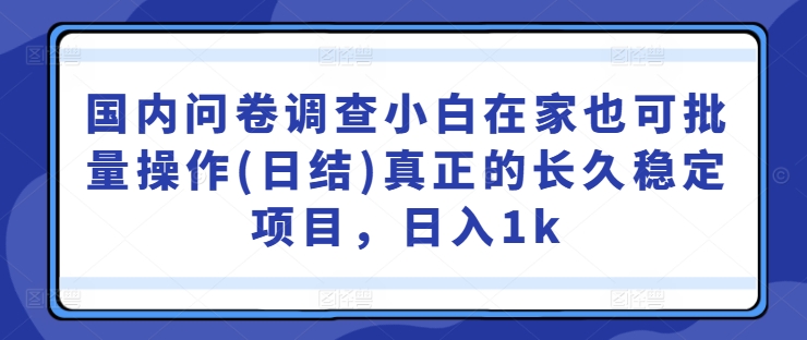 国内问卷调查小白在家也可批量操作(日结)真正的长久稳定项目，日入1k【揭秘】-玖卿社区