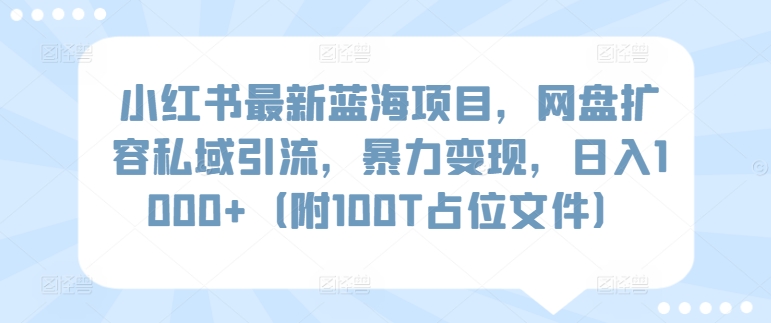 小红书最新蓝海项目，网盘扩容私域引流，暴力变现，日入1000+（附100T占位文件）-玖卿社区