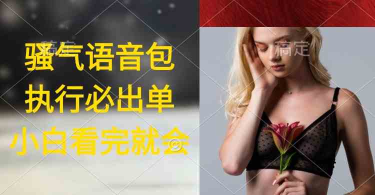 （9589期）执行就出单，日入2000+，超火骚气语音包，小白看完课程就能马上实操-玖卿社区