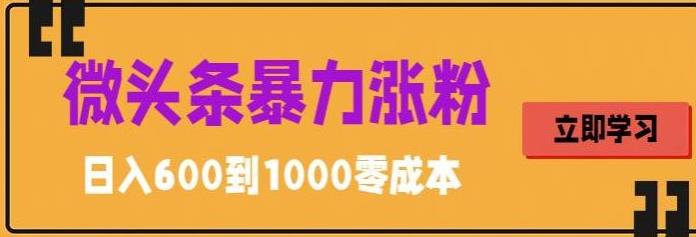微头条暴力涨粉技巧搬运文案就能涨几万粉丝，简单0成本，日赚600-玖卿社区