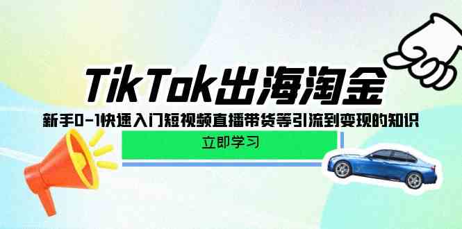 （10035期）TikTok-出海淘金，新手0-1快速入门短视频直播带货等引流到变现的知识-玖卿社区