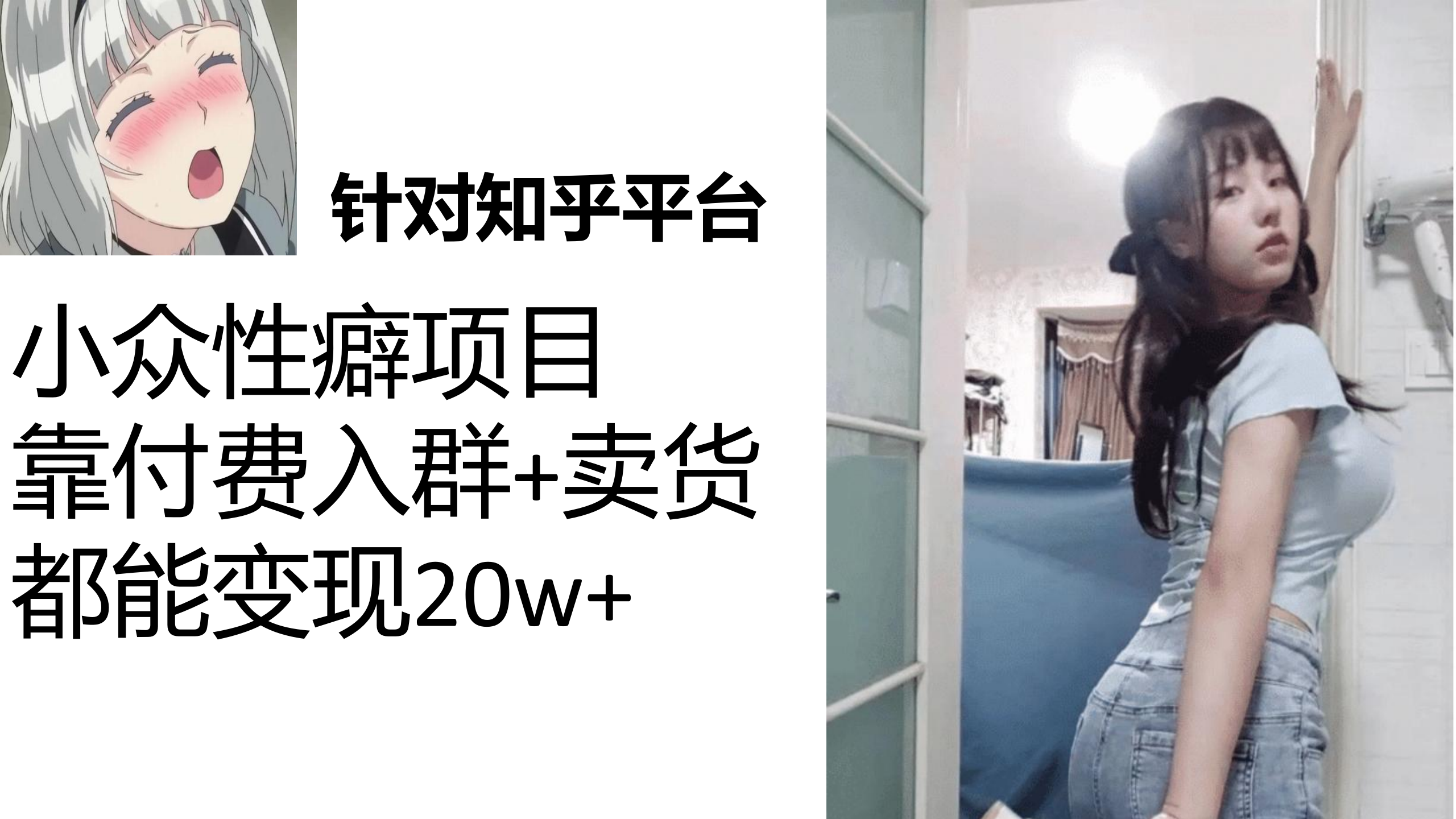 知乎小众性癖项目，Lsp的钱才是最好赚的，付费建群+卖货变现20w-玖卿社区