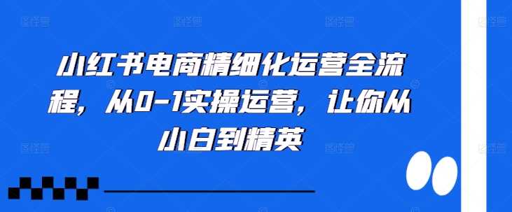 小红书电商精细化运营全流程，从0-1实操运营，让你从小白到精英-玖卿社区