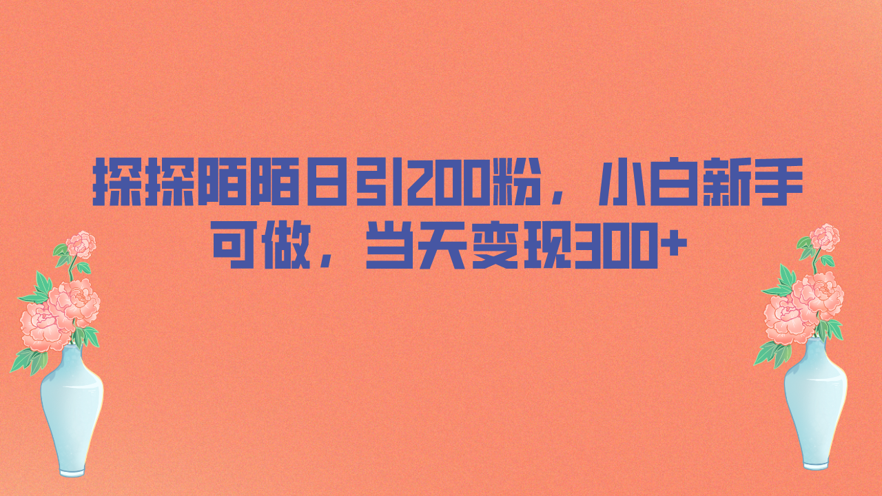 探探陌陌日引200粉，小白新手可做，当天就能变现300+-玖卿社区