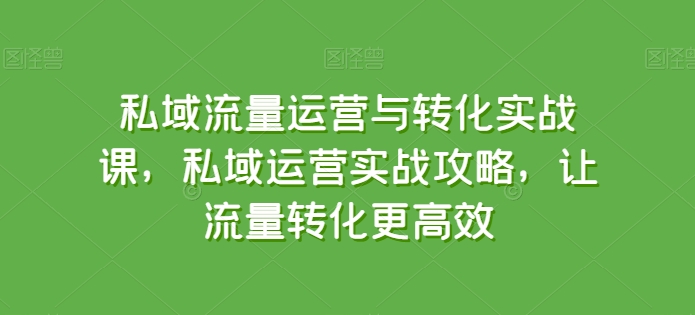 私域流量运营与转化实战课，私域运营实战攻略，让流量转化更高效-玖卿社区