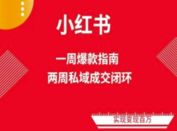 爆款小红书免费流量体系课程(两周变现)，小红书电商教程-玖卿社区