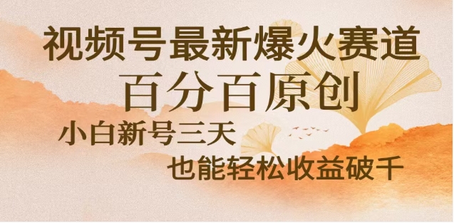 视频号独家玩法，老年养生赛道，无脑搬运爆款视频，日入2000+-玖卿社区