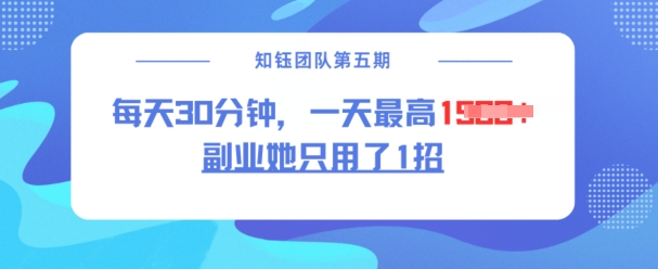 副业她只用了1招，每天30分钟，无脑二创，一天最高1.5k-玖卿社区