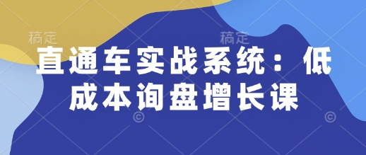 直通车实战系统：低成本询盘增长课，让个人通过技能实现升职加薪，让企业低成本获客，订单源源不断-玖卿社区