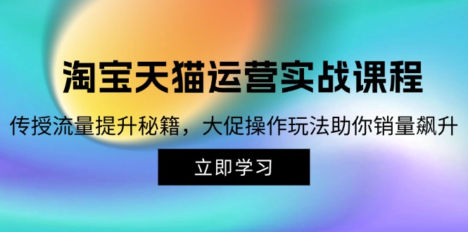 （12959期）淘宝&天猫运营实战课程，传授流量提升秘籍，大促操作玩法助你销量飙升-玖卿社区