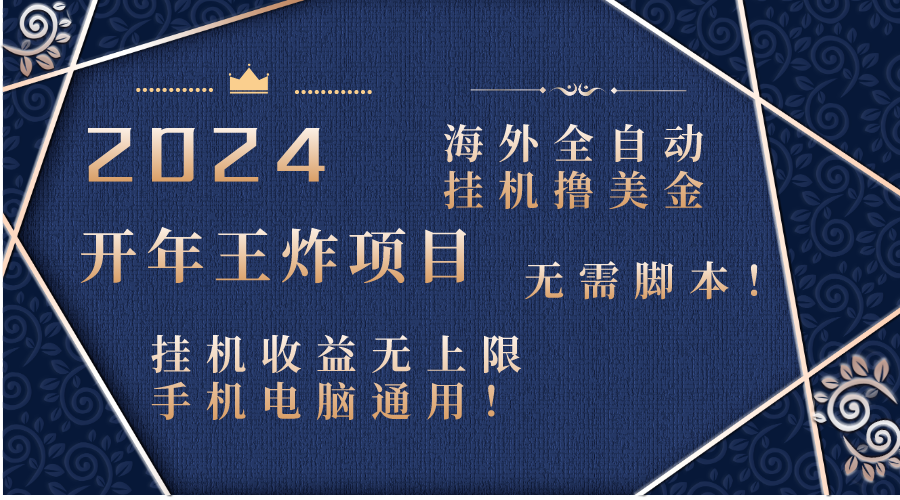 2024海外全自动挂机撸美金项目！手机电脑均可，无需脚本，收益无上限！-玖卿社区