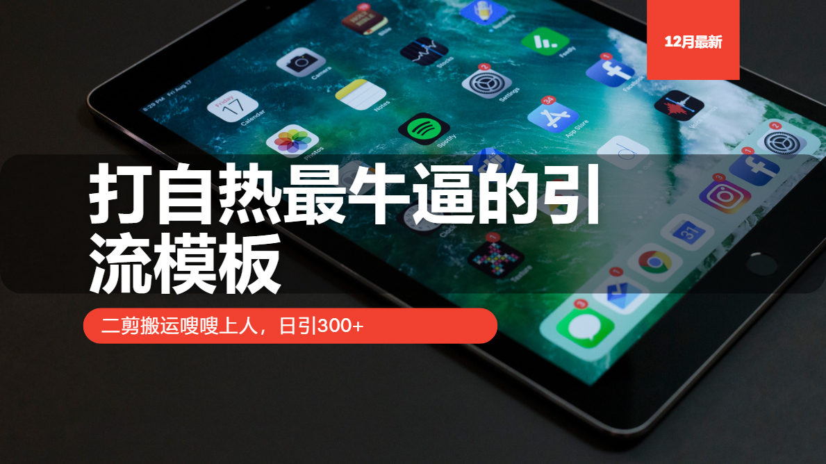 打自热最牛逼的引流模板，日引300+，二剪搬运嗖嗖上人-玖卿社区