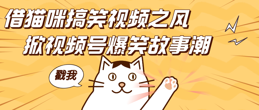 借猫咪搞笑视频之风，掀视频号爆笑故事潮，轻松日赚四位数，开启无门槛赚钱新体验！-玖卿社区