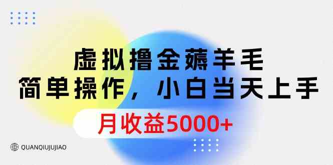 （9864期）虚拟撸金薅羊毛，简单操作，小白当天上手，月收益5000+-玖卿社区