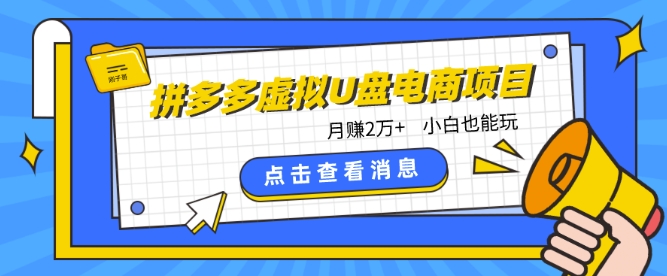 拼多多虚拟U盘电商红利项目：月赚2万+，新手小白也能玩-玖卿社区
