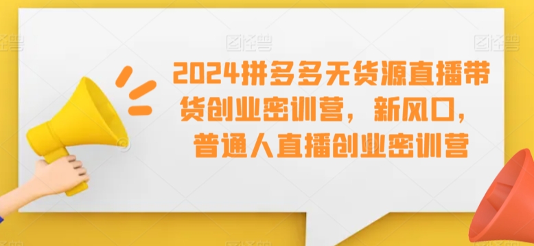 2024拼多多无货源直播带货创业密训营，新风口，普通人直播创业密训营-玖卿社区
