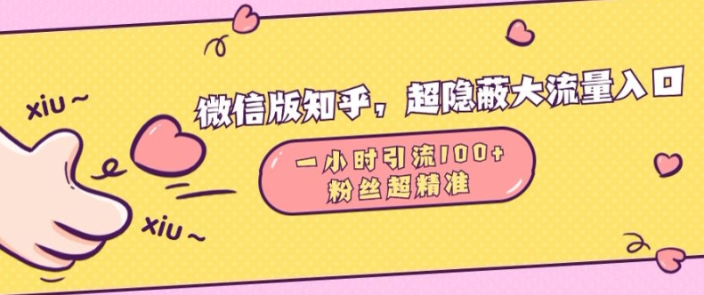 微信版知乎，超隐蔽流量入口1小时引流100人，粉丝质量超高【揭秘】-玖卿社区