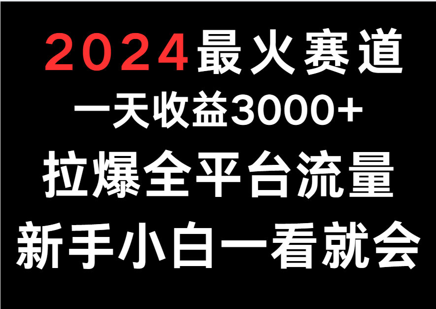 2024最火赛道，一天收一3000+.拉爆全平台流量，新手小白一看就会-玖卿社区