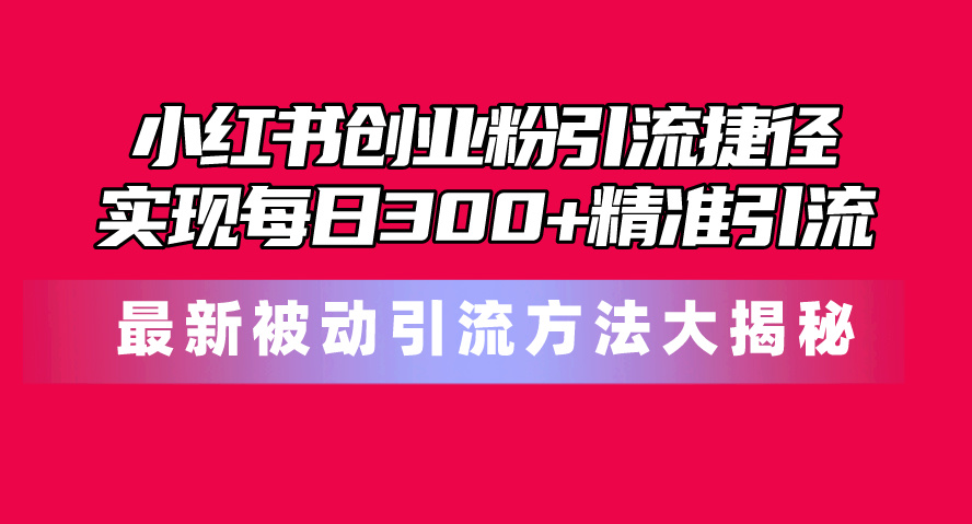 （10692期）小红书创业粉引流捷径！最新被动引流方法大揭秘，实现每日300+精准引流-玖卿社区