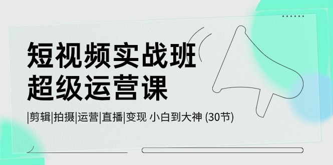 短视频实战班超级运营课 |剪辑|拍摄|运营|直播|变现 小白到大神 (30节)-玖卿社区