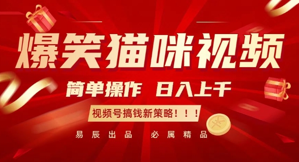 爆笑猫咪视频：简单操作，日入过K，视频号搞钱新策略【揭秘】-玖卿社区