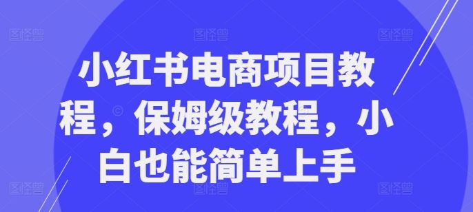 小红书电商项目教程，保姆级教程，小白也能简单上手-玖卿社区