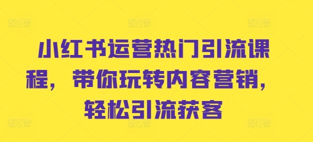 小红书运营热门引流课程，带你玩转内容营销，轻松引流获客-玖卿社区
